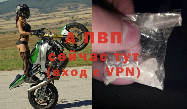 амф Белокуриха