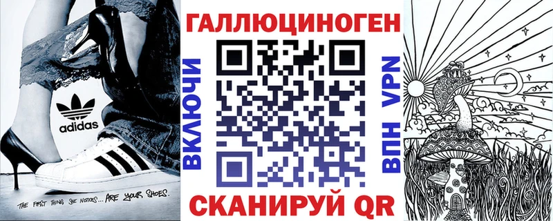 Псилоцибиновые грибы Psilocybe Славгород