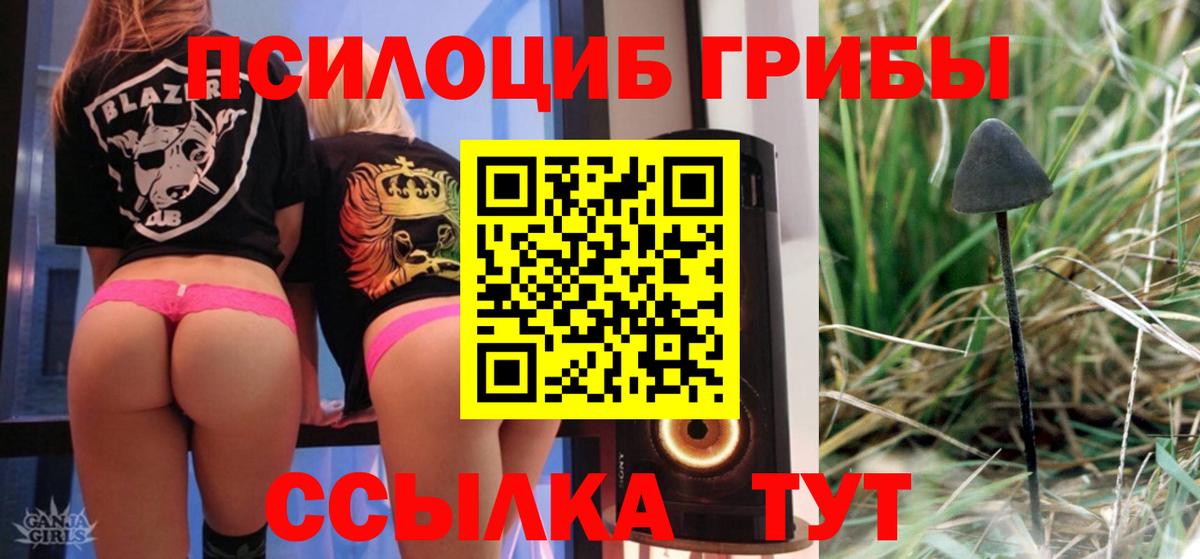 Славгород  ГАШИШ  Каннабис  Экстази  Альфа ПВП СК кристаллы  Вход с VPN  Cocaine  Мефедрон кристаллы  NBOMe 