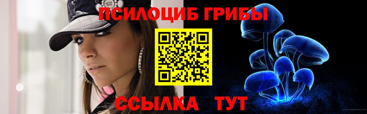 Галлюциногенные грибы мухоморы  Вход с VPN  наркотики  Галлюциногенные грибы Psilocybe  Славгород 